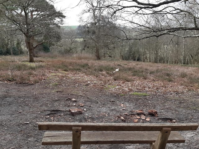 Keep following the footpath until you reach a bench with lovely views