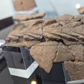Iron Age Pottery found at Combe Hill