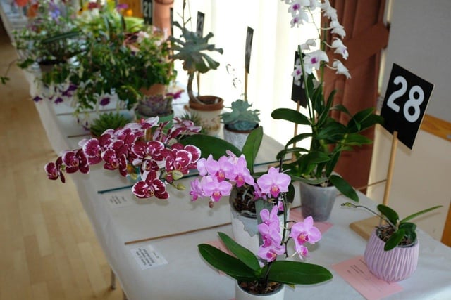 Angmering Flower and Produce Show makes a triumphant return at a new venue