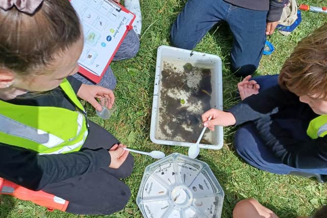 Crawley children learning about what lives in rivers