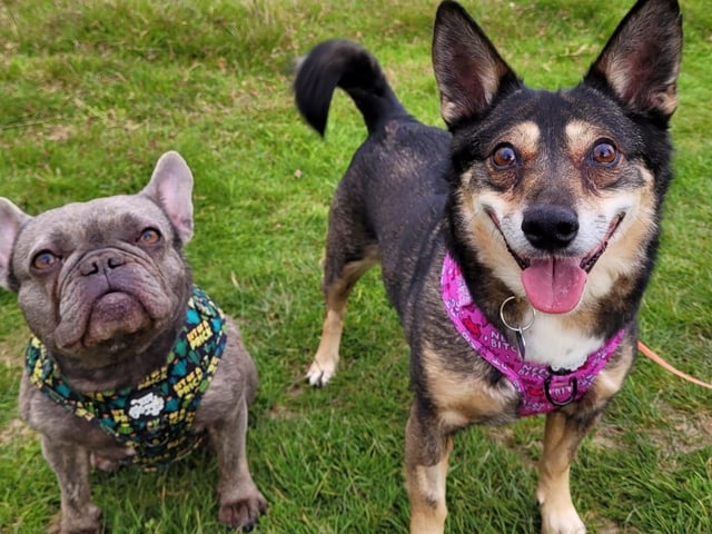 Heidi and Blu – Emily Pumfrey
