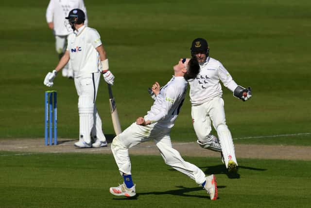 Jack Carson of Sussex celebrates after dismissing Joe Root of Yorkshire during an LV= Insurance County Championship match at Hove  (Photo by Mike Hewitt/Getty Images)