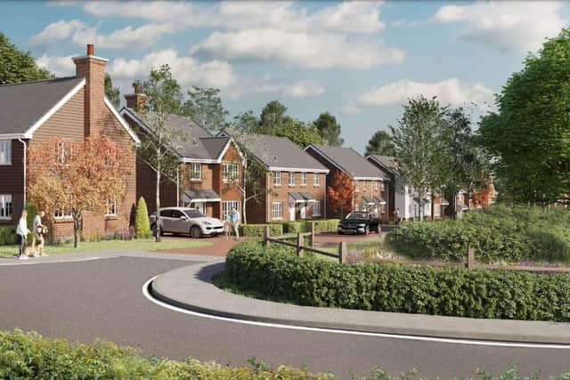 More plans submitted for 220 homes to pop up in Hailsham (photo from WDC)