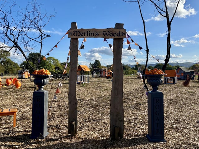 A popular pumpkin patch in Rogate has returned, with visitors invited to pick pumpkins and explore a range of autumn-themed activities.