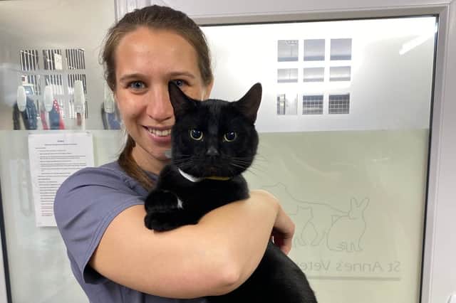 St Anne's vets in Eastbourne has received international recognition for its cat care