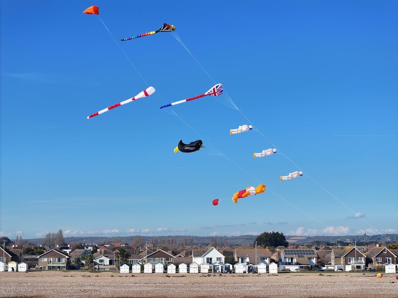 Some eye-catching kites have been pictured on Goring beach in West Sussex.
