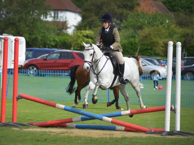 Bexhill Horse & Dog Show 2024.