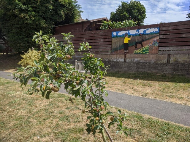 Peggy's Walk, a garden created by Mark Williams and other residents of Cumberland Crescent, Angmering