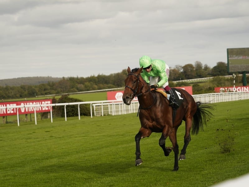 Goodwood Racecourse 2026 season finale