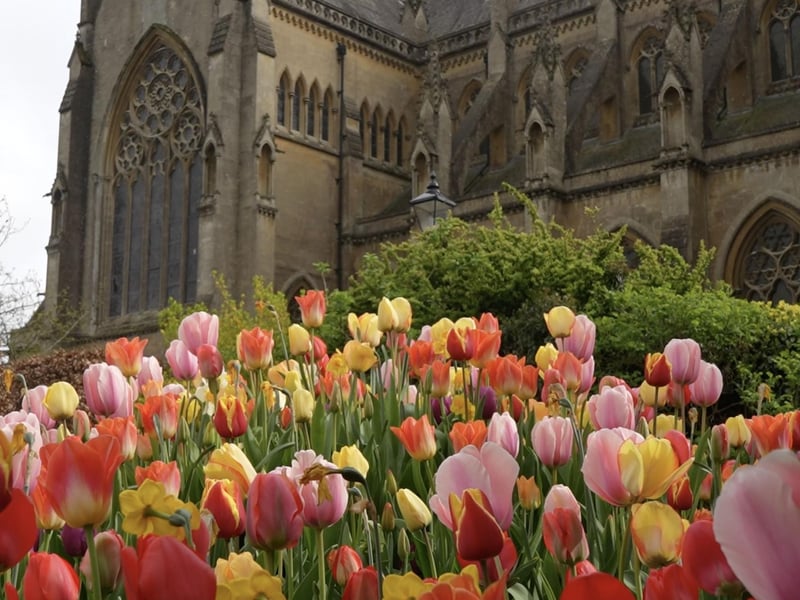 More fantastic photos of the Arundel Castle Tulip Festival