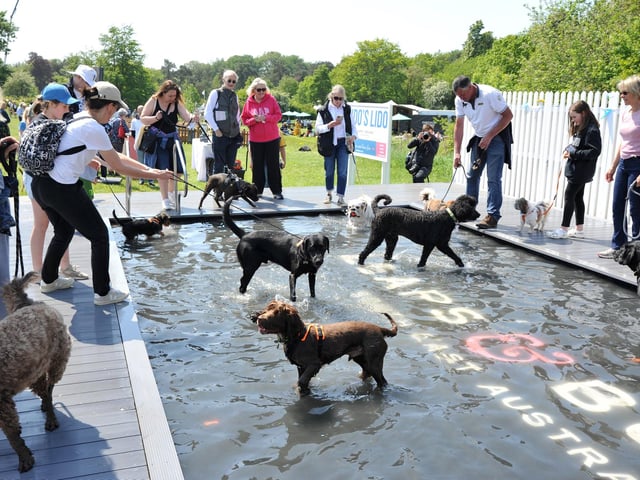Saturday at Goodwoof 2023. Pic S Robards SR2305201