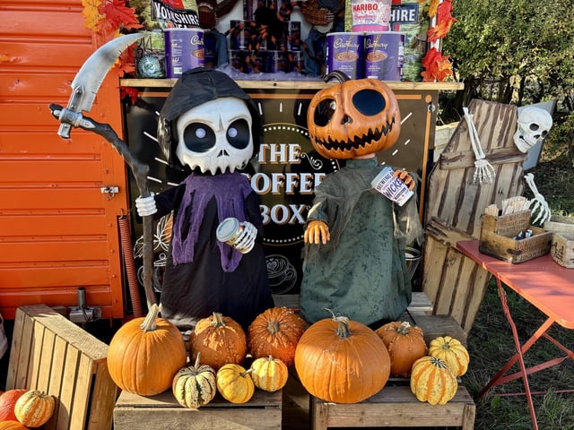 A popular pumpkin patch in Rogate has returned, with visitors invited to pick pumpkins and explore a range of autumn-themed activities.