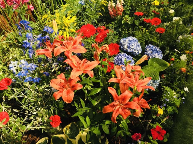 Chichester Cathedral has been filled with wonderful floral displays for the past few days / Picture: Steve Bone