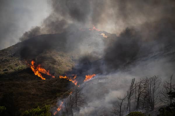 Wildfires burn the forests near the village of Vati, just north of the coastal town of Gennadi, in the southern part of the Greek island of Rhodes on July 25, 2023. (Photo by ANGELOS TZORTZINIS/AFP via Getty Images)