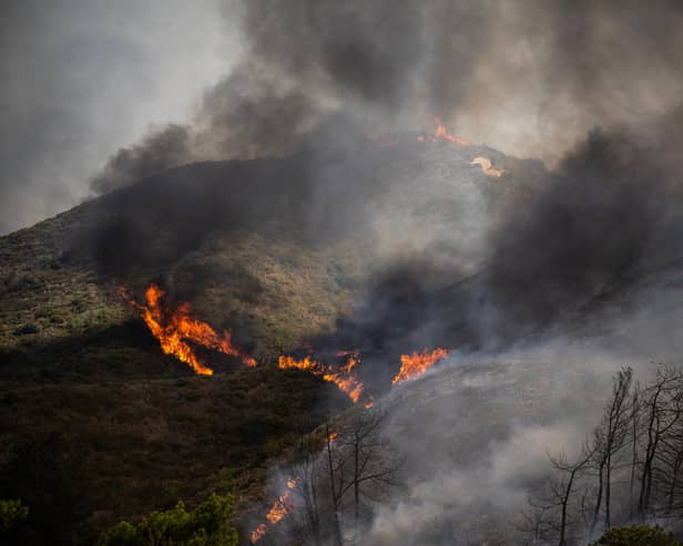 Wildfires burn the forests near the village of Vati, just north of the coastal town of Gennadi, in the southern part of the Greek island of Rhodes on July 25, 2023. (Photo by ANGELOS TZORTZINIS/AFP via Getty Images)