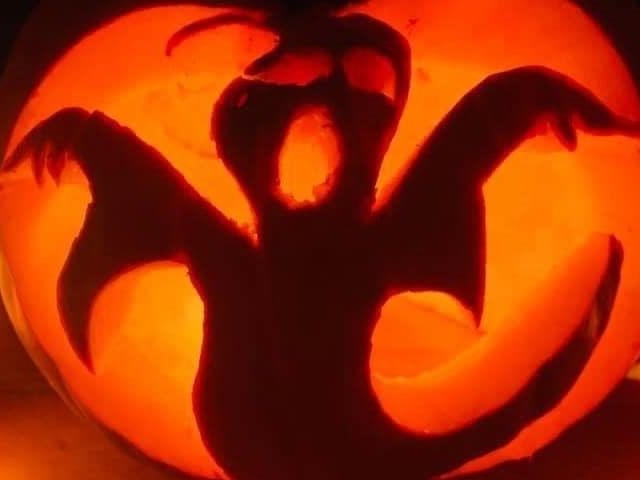 Pumpkin picture provided by Karly Gibbs