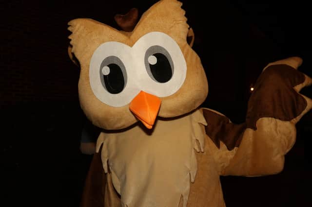 Wilf the Owl, mascot of the Moonlight Walk