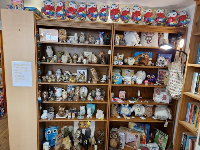 Colourful owls have flown into Arundel as part of the Wild in Art event The Big Hoot trail, raising money for Chestnut Tree House.