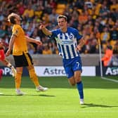 Solly March of Brighton & Hove Albion celebrates after scoring a goal during the Premier League match at Wolves
