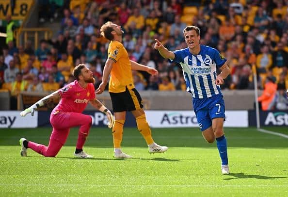 Solly March of Brighton & Hove Albion celebrates after scoring a goal during the Premier League match at Wolves