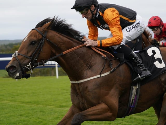 September midweek flat racing at Goodwood