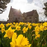 Michelham Priory House & Gardens will reopen to visitors from Mother's Day (March 19) with a display of 80,000 daffodils