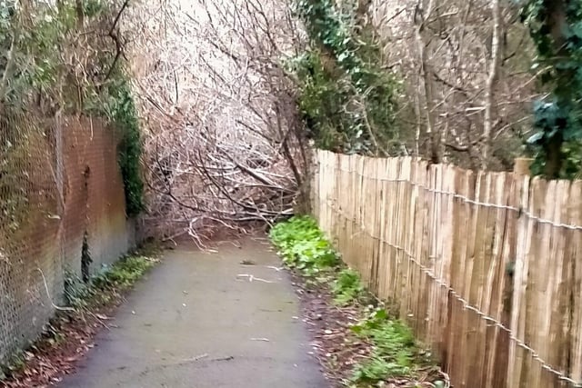 Paula O'Sullivan took this photo of downed trees blocking the path from Poveys Close to Coulstock Road near the allotments in Burgess Hill on Friday, February 18, 2022