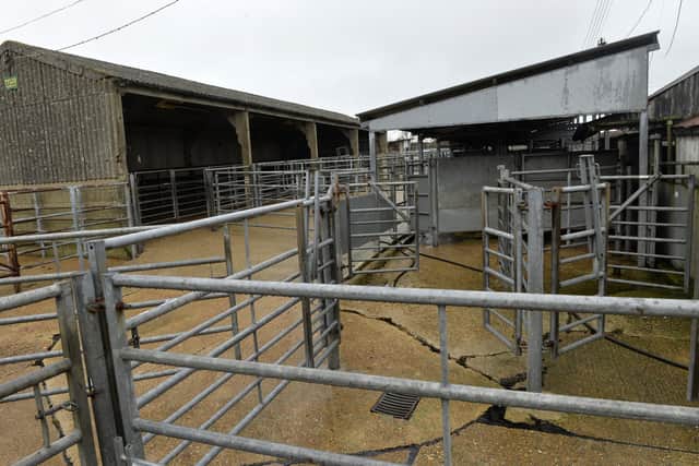 New proposals for Hailsham Cattle Market cause flurry of objections (photo by Jon Rigby)