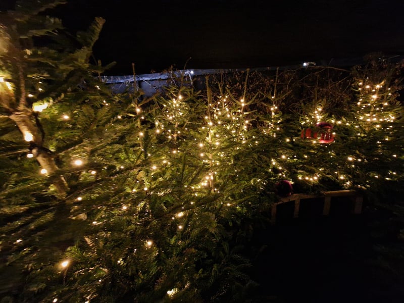 The Tulleys Farm Christmas Santa Experience is a fun and festive day out for all the family