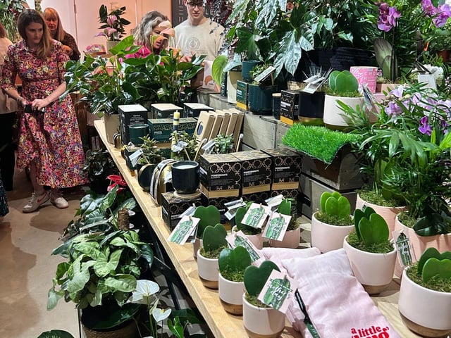 The Little Botanical's Little Shop in Runcton