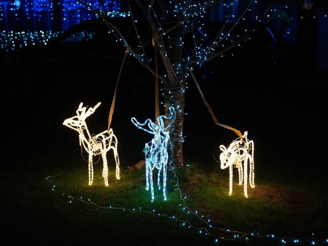 Westfield Christmas lights 2024. Photo by Frank Copper. The event this year has been scaled back significantly.