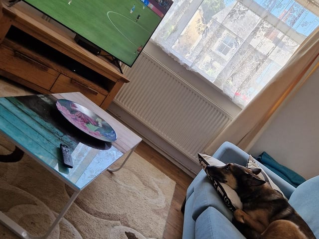 Hannah Bu Louise Bates' dog was enjoying the action in Worthing