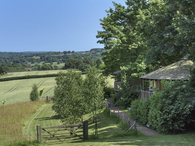 Tree housesPhoto: Andy Scott