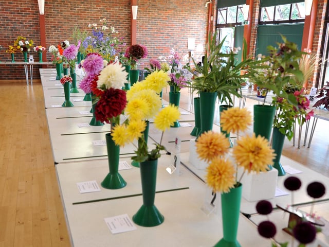 Felpham and Middleton Horticultural Society Flower and Produce Show. Pic S Robards SR2208132