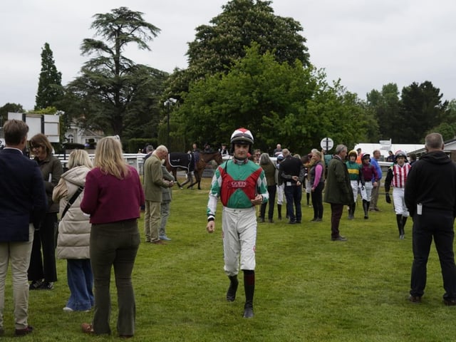 May evening racing at Fontwell Park