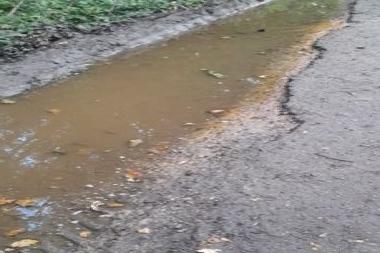 Vehicles have reportedly caused ‘severe damage’ to the pavement. Photo: Contributed