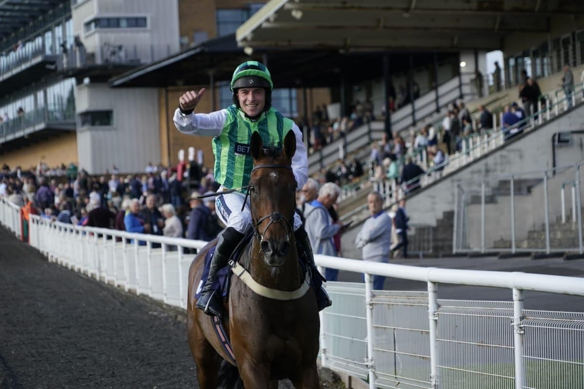 Jummp Racing 39 photos from Fontwell Park's evening jump racing fixture