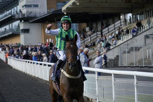 Evening racing at Fontwell Park, June 2025