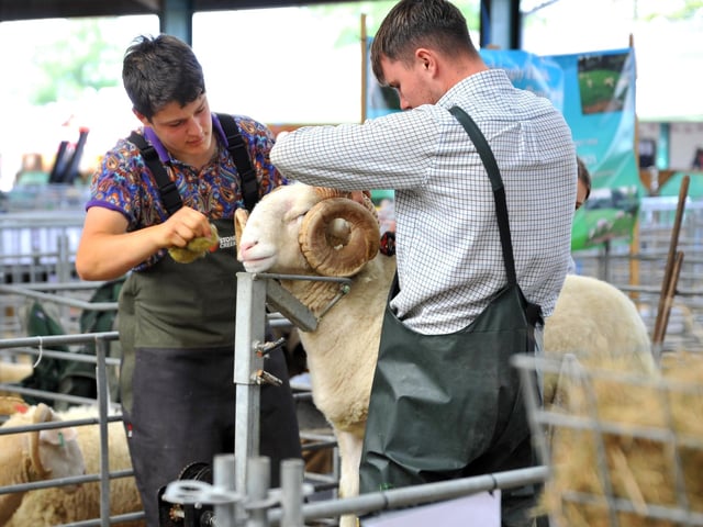 The South of England Show 2022 at Ardingly runs from Friday to Sunday, June 10-12