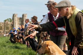 The Cowdray Gundog Challenge in support of Ambulance Kent Surrey Sussex will be returning at the end of April.