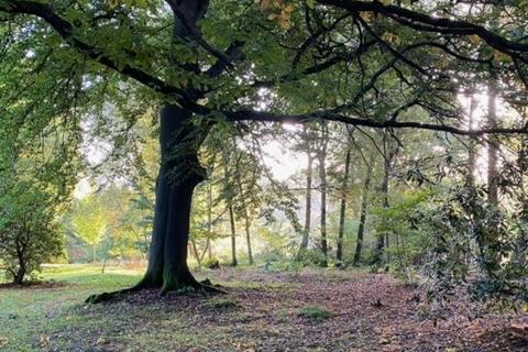 PICTURES: Tilgate Park in autumn- take a look at Crawley’s most popular park in all its seasonal glory