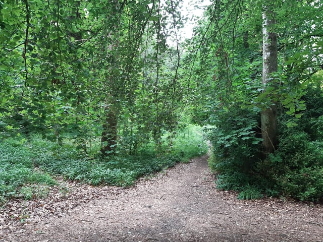 Continue on paths in this same direction