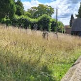 Haywards Heath resident Julian Purvey took this photo of the graveyard at St Wilfrid's Church, saying that long grass nearly covers many of the headstones