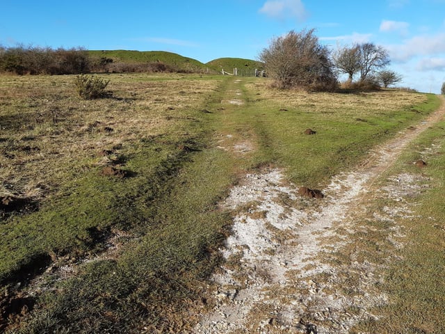 Keep to the left of the fork and head towards the gate that takes you on to the top of the Iron Age hill fort.