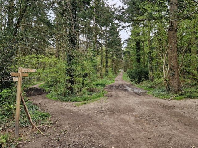 When you arrive at this fork with three options, take the path on the left