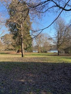 Pictures: Here are 9 pictures of Tilgate Park looking stunning in the sunshine as Spring begins to appear