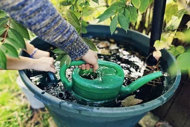 Southern Water said using a watering can to water the garden saves water