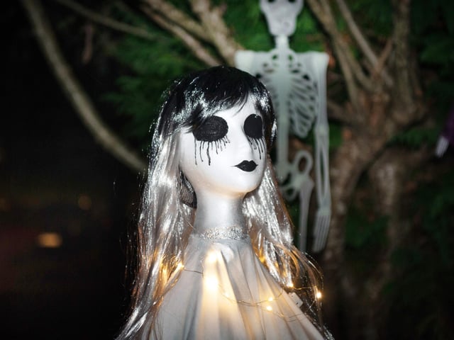 Halloween house at 5 Gillsmans Park, St Leonards, in aid of St Michael's Hospice. Photo by Frank Copper.