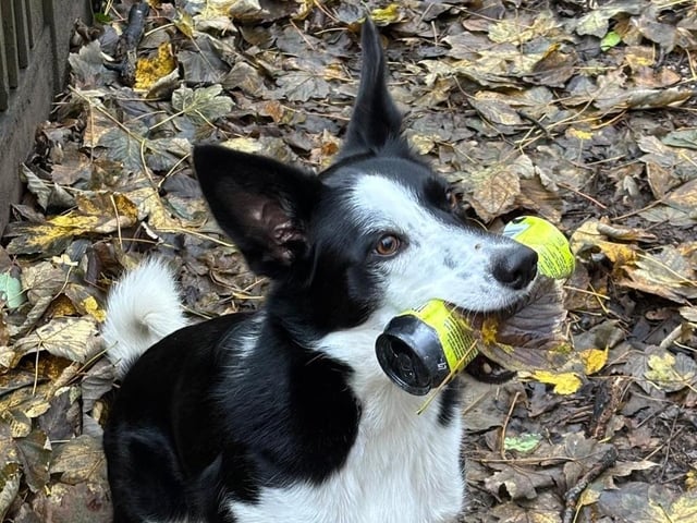 Jess manages to find litter in places that look like they are clean