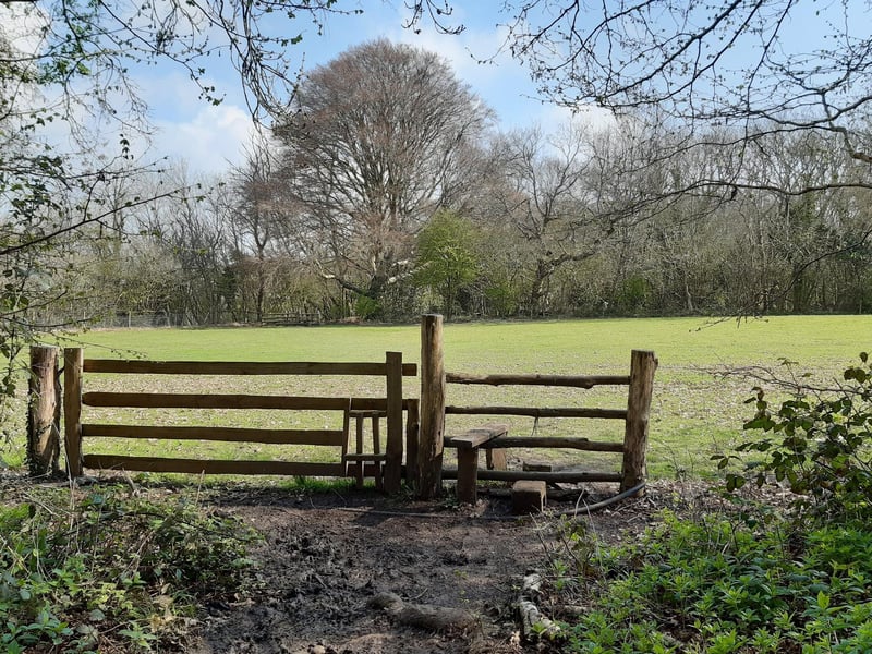 The next stile leads you into another field and you need to cross directly over to the other side to find the next stile.